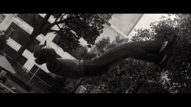 Reshade on (Noir version) (Photo by Me)