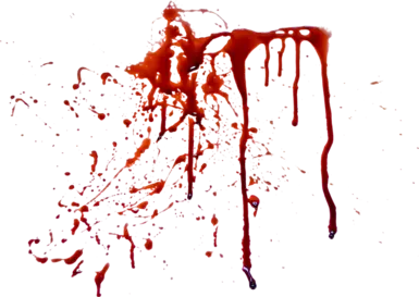 Bloodied Knife