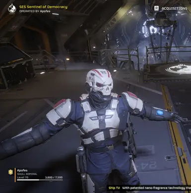 Helmet Skull Admiral at Helldivers 2 Nexus - Mods and community