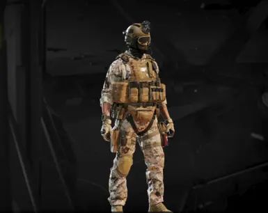 Desert Digital DP-40