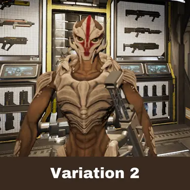 Variation 2