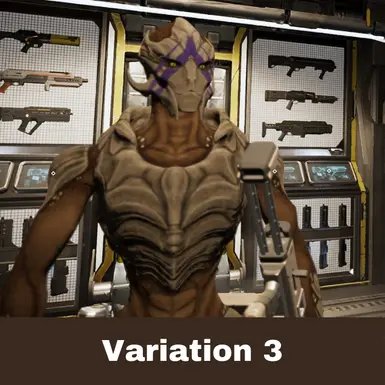 Variation 3