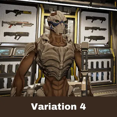 Variation 4