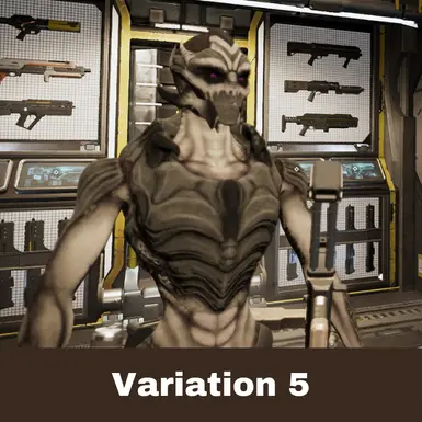 Variation 5