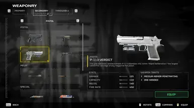 CS2 Desert Eagle over P-113 Verdict