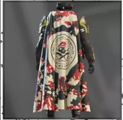 Decorated rank