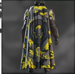 Spartan division