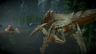 Bug