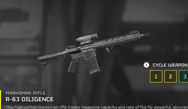 SR 25 Diligence Replacer