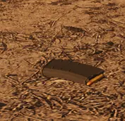 1 bullet in mag
