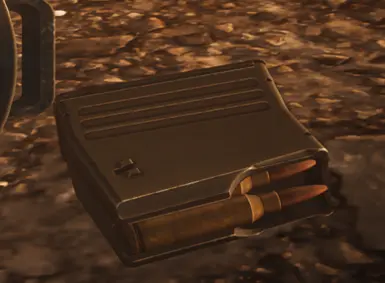 2+ bullets in mag