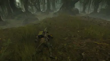 Concealment Example 2