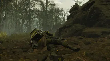 Concealment Example 1