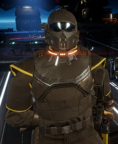IE-12 Armor v2