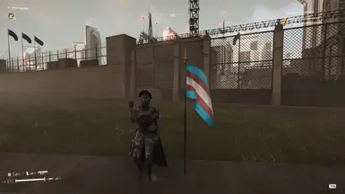 CQC-1 One True Flag but Trans