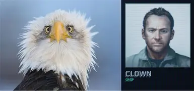 Mage-1 replacement for Eagle-1