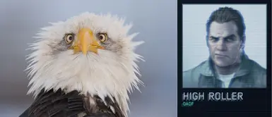 High Roller replacement for Eagle-1