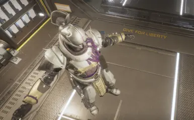 Saint-14 Destiny 2