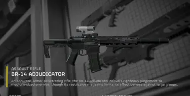 300 BLK AR-15 Over BR-14 Adjudicator