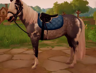 Nim's Race Sheepskins