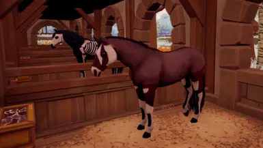 Gemsbok Horse Markings