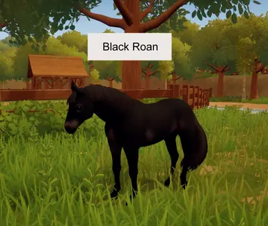 Dragon's Roan to Seal Bay mod