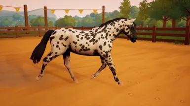 Baroque horse model replacement