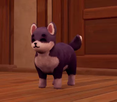 Black Shibas