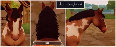 Dragon's Double Sided Mane Mod