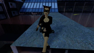 Adventures of Catwoman