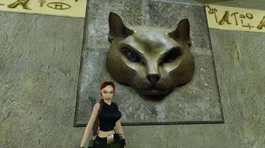 Unfinished Business - Cat Face Edit