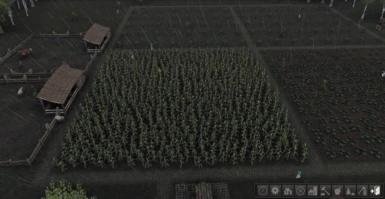Crops After