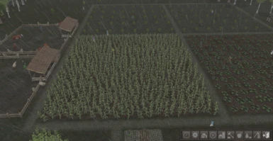 Crops Before