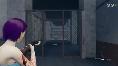 Shotgun
