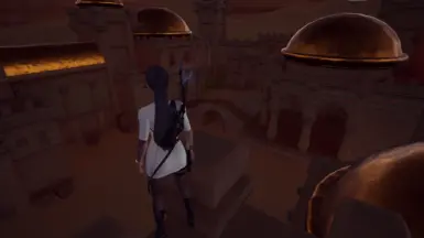 V1.1