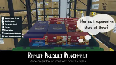 Remote Product Placement