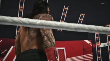 WWE 2K24 Photorealistic Reshade