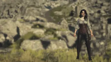 No armor version