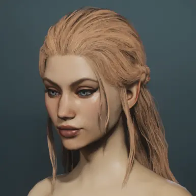 Character Manager preset - Beautiful Elf Aerin