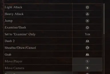 [Controller] Sample in-game setting. Dash replaced.