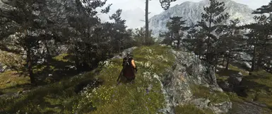 ReShade