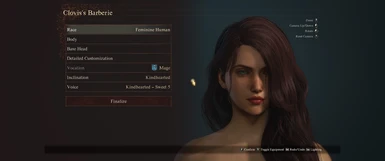 Character Manager Preset - Cylia