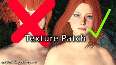 Unofficial Dragon's Dogma 2 Texture Patch - SKIN UPDATE