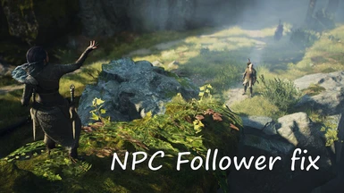 NPC Follower fix