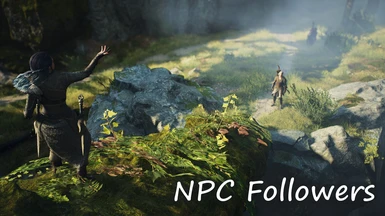 NPC Followers