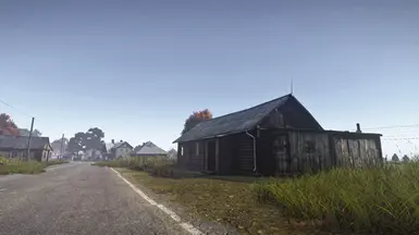 1. DayZ Subtle Single Player ReShade
