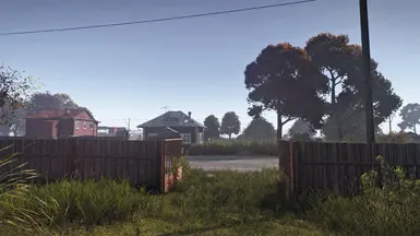 1. DayZ Subtle Single Player ReShade