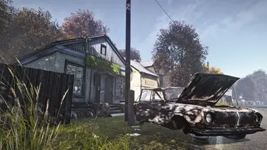 1. DayZ Subtle Single Player ReShade