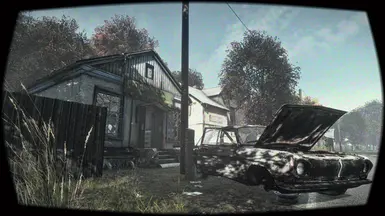 3. DayZ Subtle Single Player ReShade [FOUND FOOTAGE] 