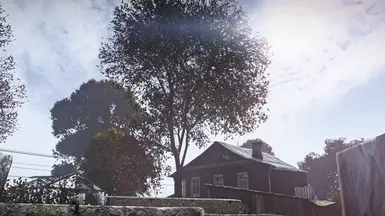 1. DayZ Subtle Single Player ReShade